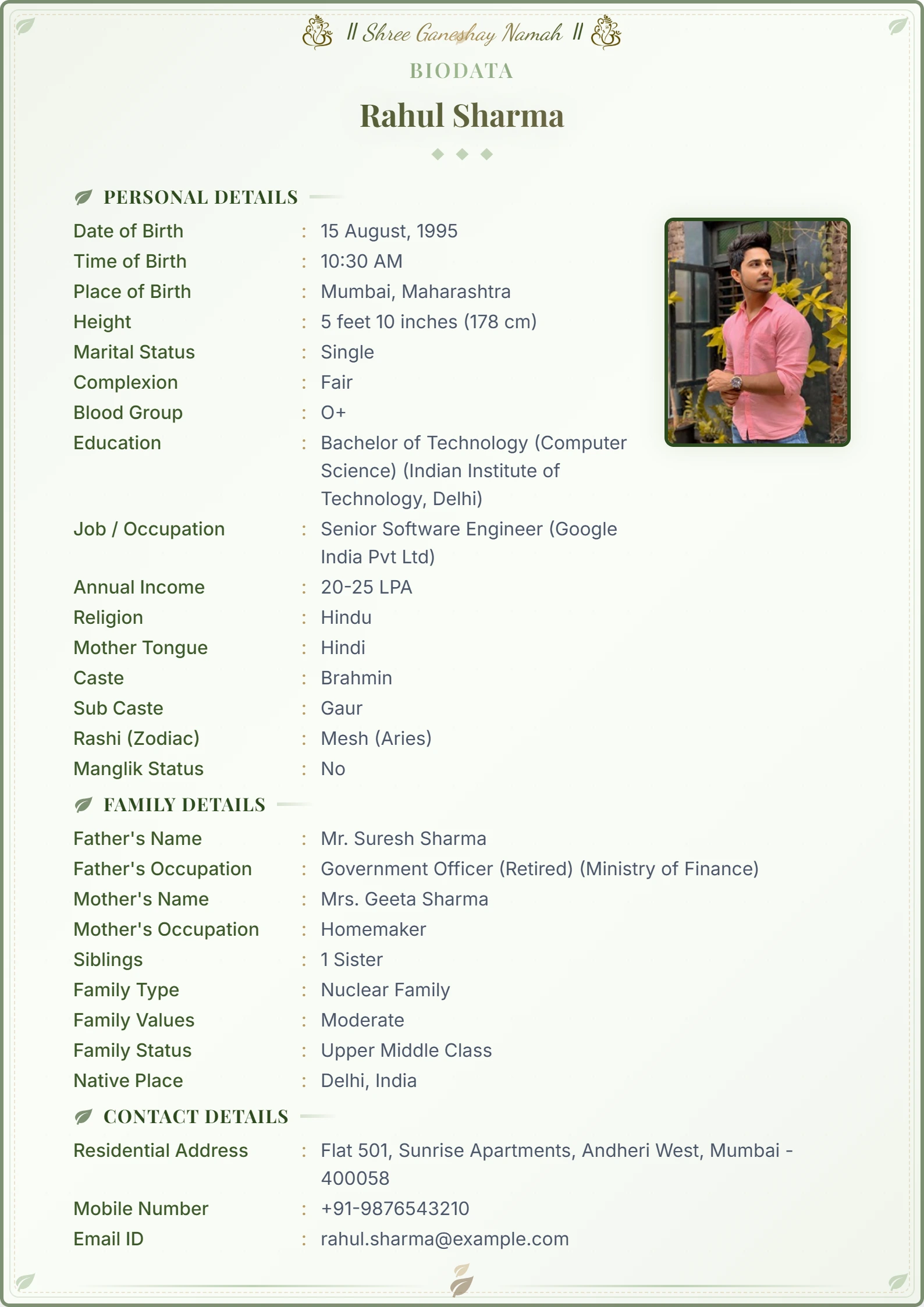 Classic Indian matrimonial biodata sample